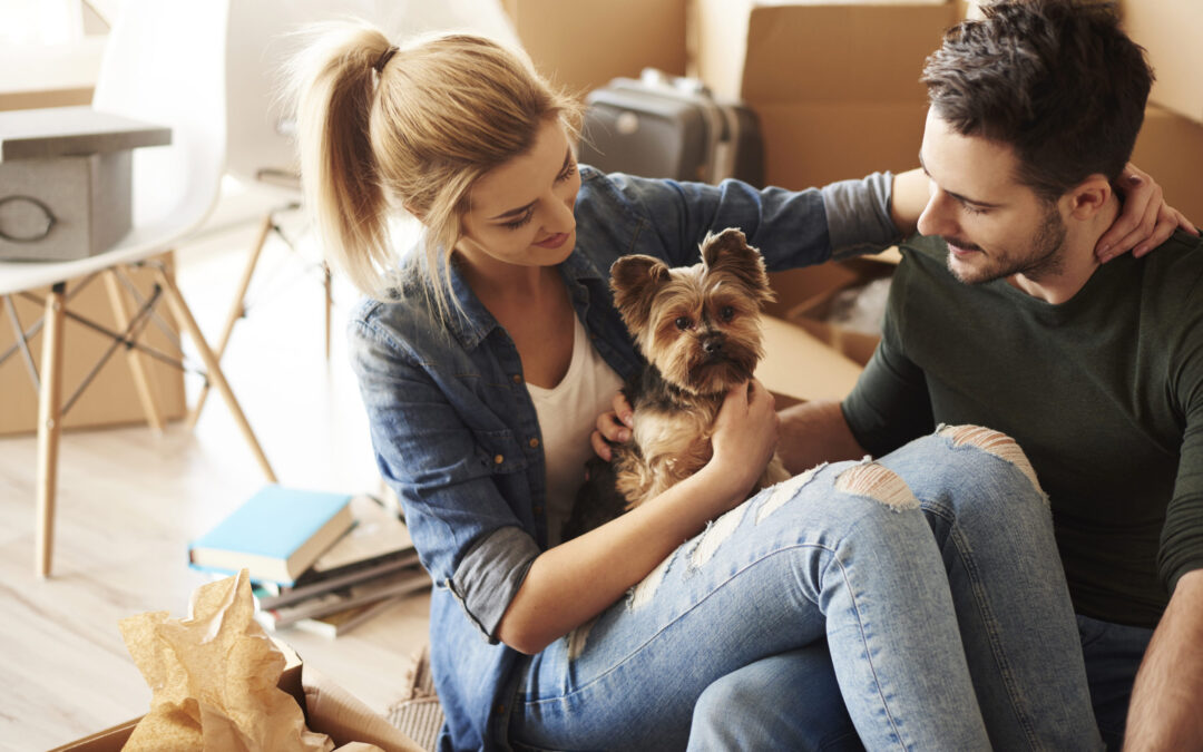 Unpacking with a dog