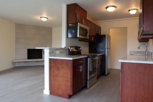 Apartment Unit Interior - kitchen and living room with fireplace