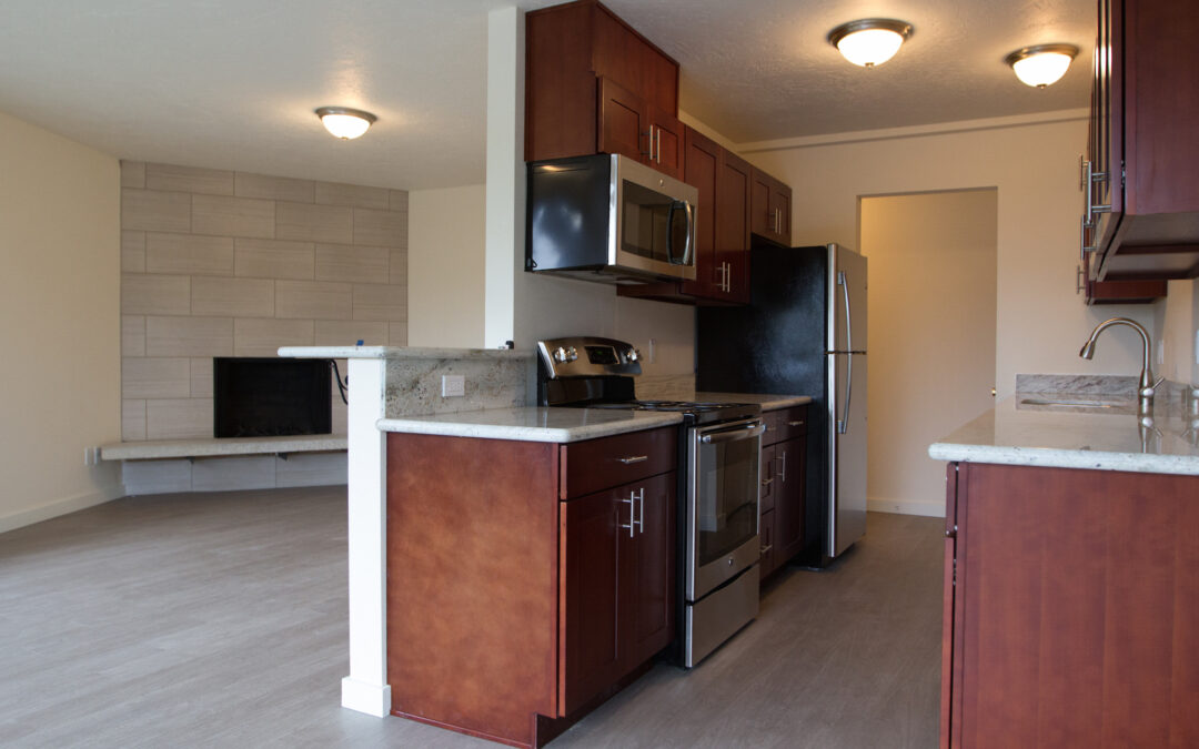 Apartment Unit Interior – kitchen and living room with fireplace